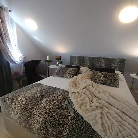 Axla Z Weranda Ogrodem I Parkingiem Affittacamere Kudowa-Zdrój