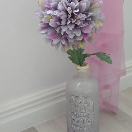 Axla Z Weranda Ogrodem I Parkingiem